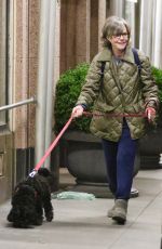 SALLY FIELD Out with Her Dog in New York 11/23/2022