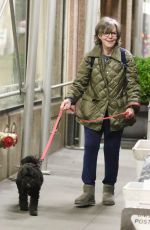 SALLY FIELD Out with Her Dog in New York 11/23/2022
