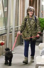 SALLY FIELD Out with Her Dog in New York 11/23/2022
