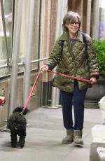 SALLY FIELD Out with Her Dog in New York 11/23/2022