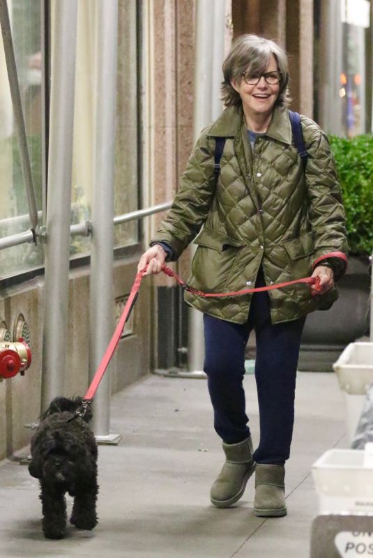 SALLY FIELD Out with Her Dog in New York 11/23/2022