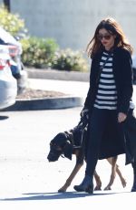 SARAH HYLAND Takes Her Dog to Vet in Los Angeles 11/10/2022