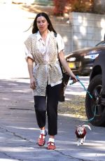 SCOUT WILLIS Out with Her Dog in Los Angeles 11/19/2022