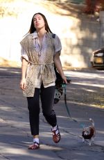 SCOUT WILLIS Out with Her Dog in Los Angeles 11/19/2022
