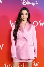 VERONICA and VANESSA MERRELL at Willow Premiere in Los Angeles 11/29/2022