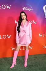 VERONICA and VANESSA MERRELL at Willow Premiere in Los Angeles 11/29/2022
