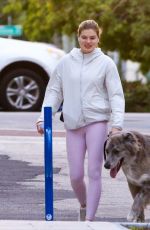 VICTORIA IGLESIAS Out with Her Dogs in Miami Beach 11/19/2022
