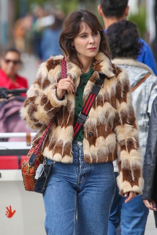 ZOOEY DESCHANEL Out Shppping at Asa Kaftans in Venice Beach 11/02/2022