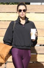 ALESSANDRA AMBROSIO Arrives at Daily Workout in West Hollywood 12/13/2022