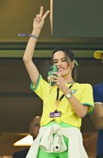 ALESSANDRA AMBROSIO at a Brazil Game at World Cup 2022 in Qatar 12/02/2022