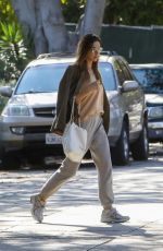 ALESSANDRA AMBROSIO Heading to LAX in Los Angles 12/14/2022