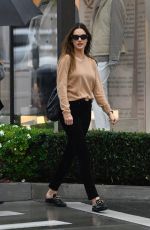 ALESSANDRA AMBROSIO Out Shopping with Her Sister in Pacific Palisades 12/27/2022