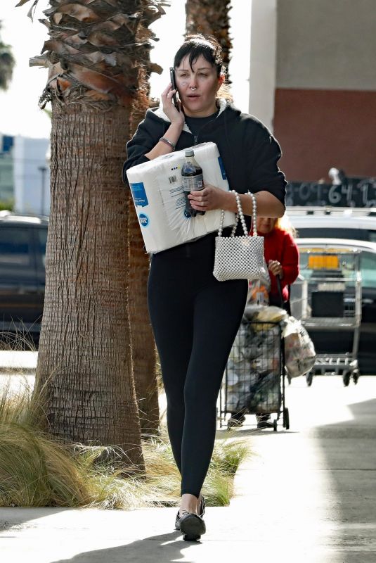 AMANDA BYNES Out Shopping in Los Angeles 12/12/2022