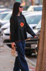 AMELIA and DELILAH HAMLIN Out for Christmas Shopping in West Hollywood 12/23/2022