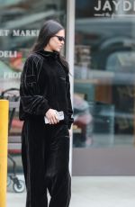 AMELIA HAMLIN Out and About in Bel Air Neighborhood 12/27/2022