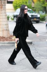 AMELIA HAMLIN Out and About in Bel Air Neighborhood 12/27/2022