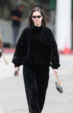 AMELIA HAMLIN Out and About in Bel Air Neighborhood 12/27/2022