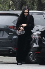 AMELIA HAMLIN Out and About in Bel Air Neighborhood 12/27/2022