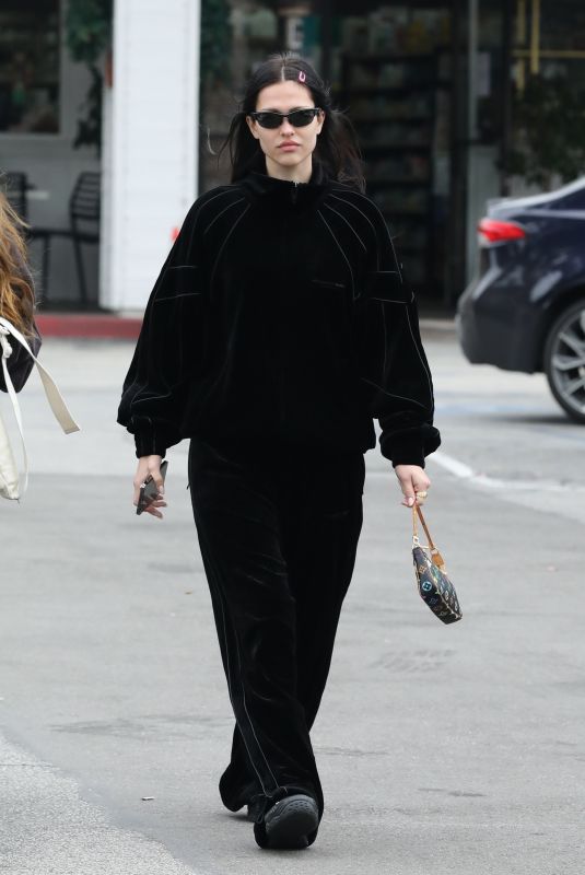AMELIA HAMLIN Out and About in Bel Air Neighborhood 12/27/2022