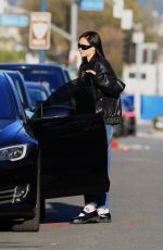 AMELIA HAMLIN Out and About in Beverly Hills 12/21/2022