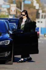 AMELIA HAMLIN Out and About in Beverly Hills 12/21/2022