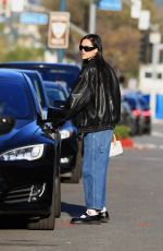 AMELIA HAMLIN Out and About in Beverly Hills 12/21/2022