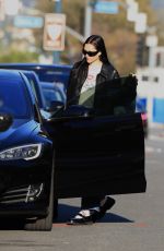 AMELIA HAMLIN Out and About in Beverly Hills 12/21/2022