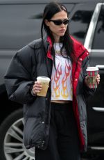 AMELIA HAMLIN Out for Coffee at Beverly Glen Shopping Center in Beverly Hills 12/30/2022