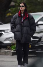 AMELIA HAMLIN Out for Coffee at Beverly Glen Shopping Center in Beverly Hills 12/30/2022