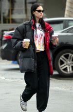 AMELIA HAMLIN Out for Coffee at Beverly Glen Shopping Center in Beverly Hills 12/30/2022