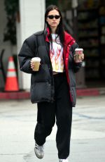 AMELIA HAMLIN Out for Coffee at Beverly Glen Shopping Center in Beverly Hills 12/30/2022