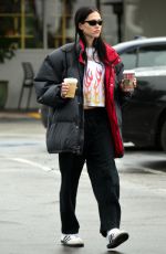 AMELIA HAMLIN Out for Coffee at Beverly Glen Shopping Center in Beverly Hills 12/30/2022