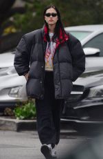 AMELIA HAMLIN Out for Coffee at Beverly Glen Shopping Center in Beverly Hills 12/30/2022
