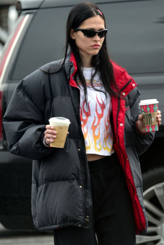 AMELIA HAMLIN Out for Coffee at Beverly Glen Shopping Center in Beverly Hills 12/30/2022