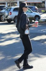 AMELIA HAMLIN Out for Coffee on Christmas Eve in Los Angeles 12/24/2022