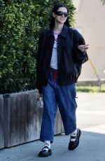 AMELIA HAMLIN Out with a Friend in Beverly Hills 12/14/2022