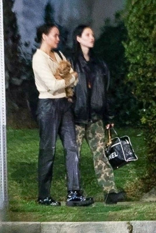 AMELIA HAMLIN Out with a Friend in Beverly Hills 12/27/2022