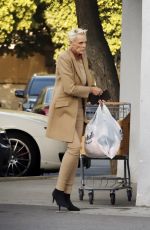 BRIGITTE NIELSEN Out Shopping in Los Angeles 12/01/2022