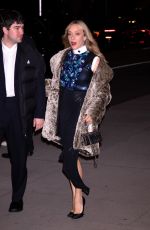 CHLOE SEVIGNY Arrives at Museum of Modern Art