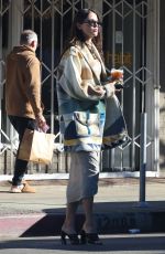 EIZA GONZALEZ Out for Her Morning Iced Coffee in Studio City 12/24/2022