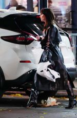 EMILY RATAJKOWSKI Out and About in New York 11/29/2022