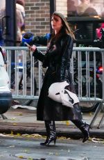 EMILY RATAJKOWSKI Out and About in New York 11/29/2022