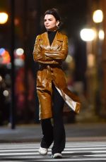 EMILY RATAJKOWSKI Out for Dinner with Friends in New York 11/30/2022
