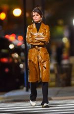 EMILY RATAJKOWSKI Out for Dinner with Friends in New York 11/30/2022