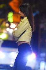 EMILY RATAJKOWSKI Out in New York 12/03/2022