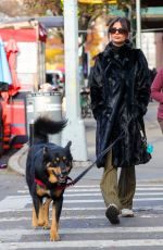 EMILY RATAJKOWSKI Out with Her Dog in New York 12/01/2022