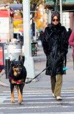 EMILY RATAJKOWSKI Out with Her Dog in New York 12/01/2022