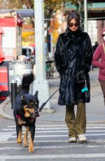 EMILY RATAJKOWSKI Out with Her Dog in New York 12/01/2022