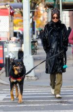 EMILY RATAJKOWSKI Out with Her Dog in New York 12/01/2022