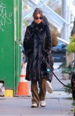 EMILY RATAJKOWSKI Out with Her Dog in New York 12/01/2022